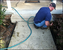 Dead animal removal Waynesboro VA