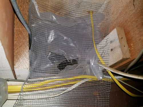 Rat exclusion netting near an entry point